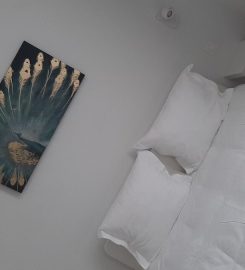 B&B Brussels City Center